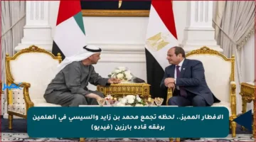 الإفطار المميز.. لحظة تجمع محمد بن زايد والسيسي في العلمين برفقة قادة بارزين (فيديو)